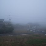 朝　濃霧　231104 (1 - 1)